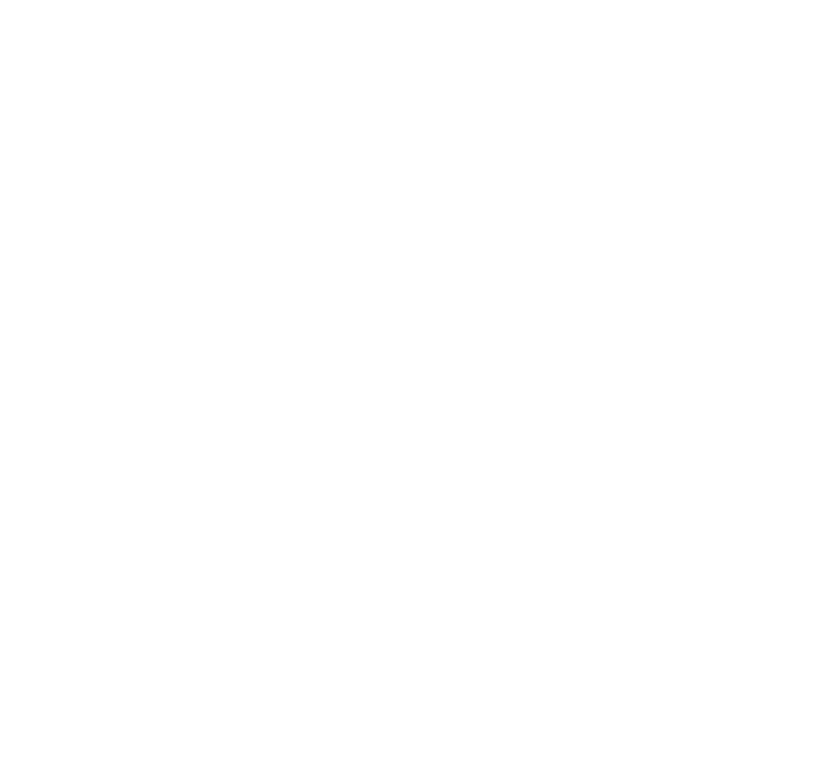 IMG 6