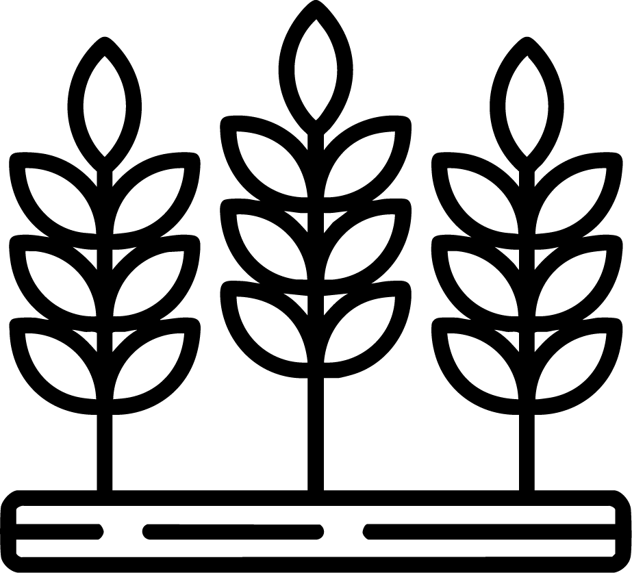 icono